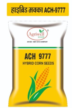 ACH 9777 – Hybrid Corn Seed