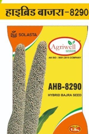 AHB-8290 – Hybrid Bajra Seed