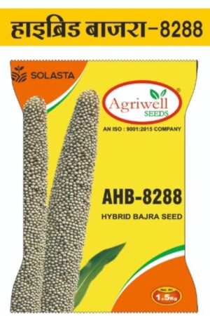 AHB-8288 – Hybrid Bajra Seed