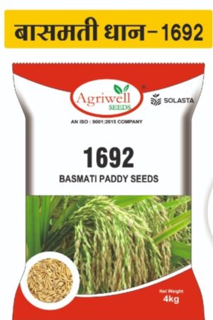 Basmati 1692 – Basmati Paddy Seed