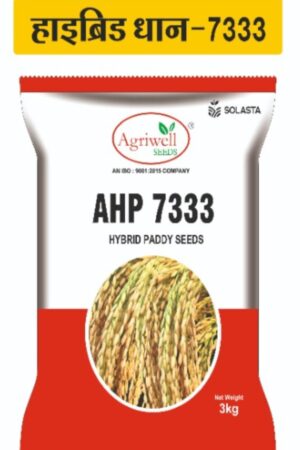 AHP 7333 – Hybrid Paddy Seed