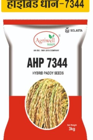 AHP 7344 – Hybrid Paddy Seed