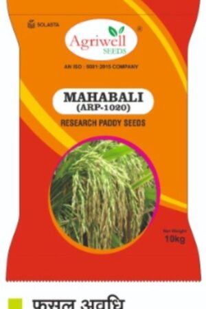 Mahabali (APR-1020) – Research Paddy Seed