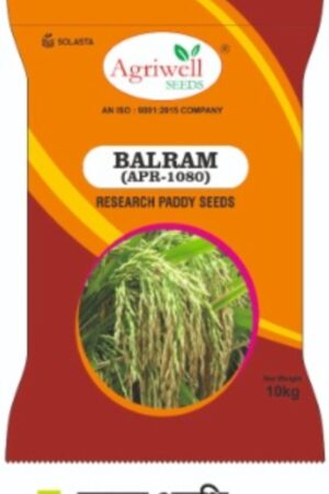 Balram (APR-1080) – Research Paddy Seed